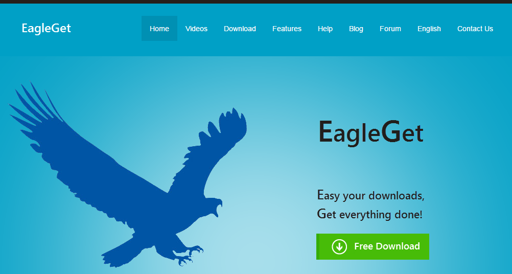 EagleGet IDM alternatives